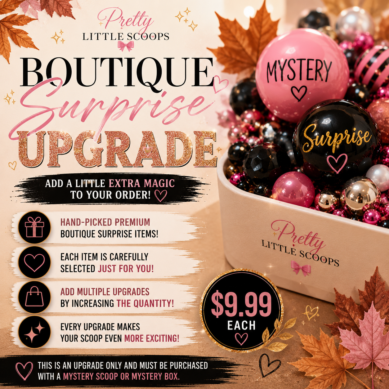 ✨Boutique Surprise Add-On ✨