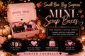 Pretty Little Scoops adult mini scoop boxes (8-10 items ) 🎀